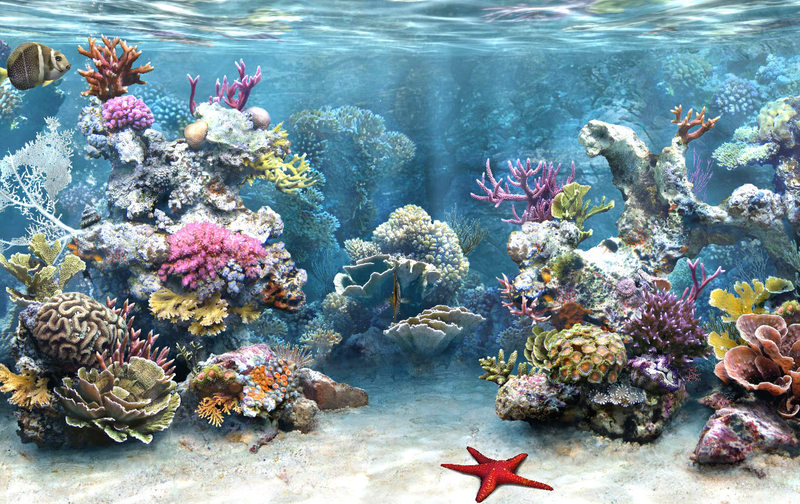 Sim AQUARIUM Screensaver Screenshot